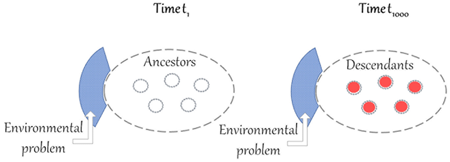 Two ovals representing ancestors and descendants are labelled time 1 and time 1000. A small fragment is labelled ‘environmental problems’. Hollow circles appear inside the ancestor oval, and solid circles inside the descendant oval.