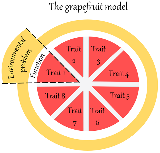 Three concentric circles, with the innermost split into eight sections numbered 1 to 8. Trait 1 is enlarged, and the middle and outer circles are labelled ‘function’ and ‘environmental problems’, respectively.