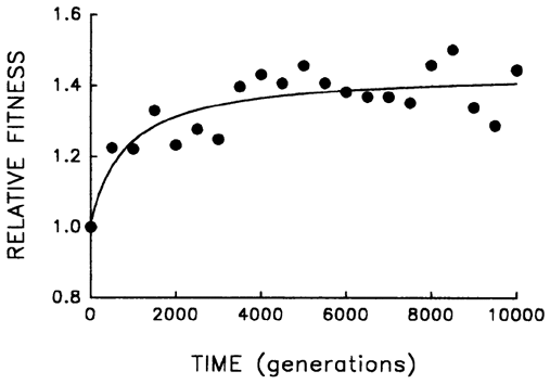 Scatter plot of relative fitness over 0 to 10,000 generations with a fitted curve that rises steeply at first and then gradually flattens, showing diminishing gains and a plateau around 1.4 to 1.5 in later generations.