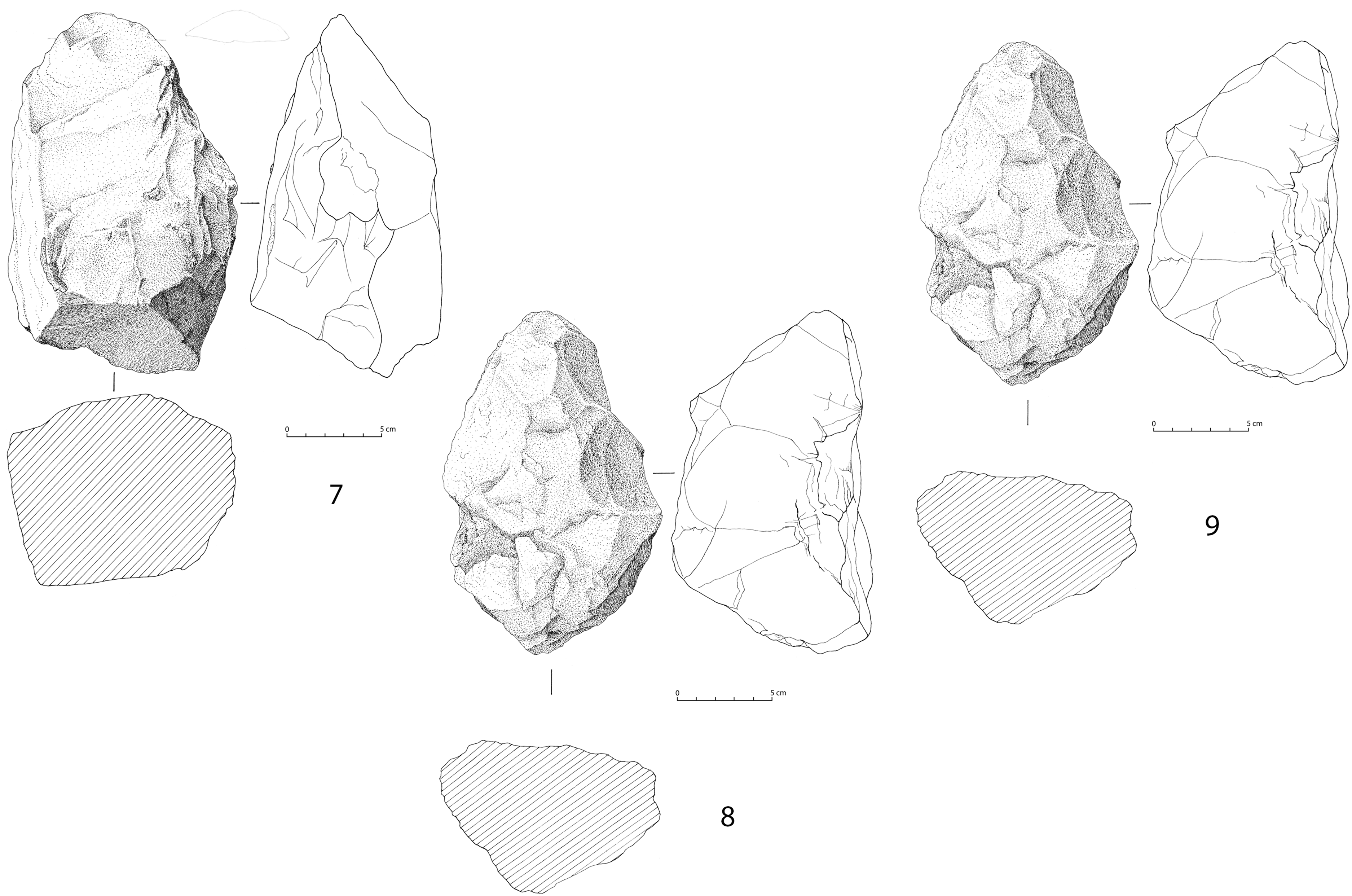 Figure 9