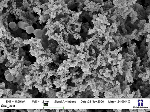 Content of image described in text.