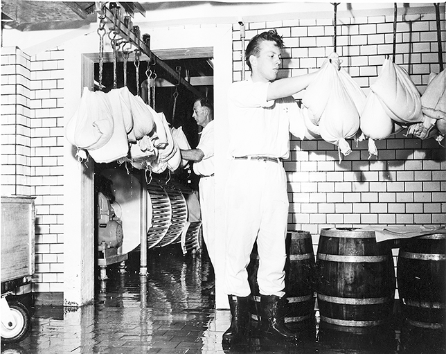 A man dressed in white straining skyr in the dairy.
