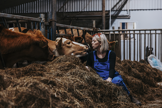 A woman sitting in a bale of hay caressing a cow.