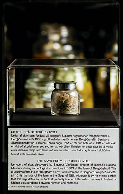 A jar with ancient skyr in an exhibition case.