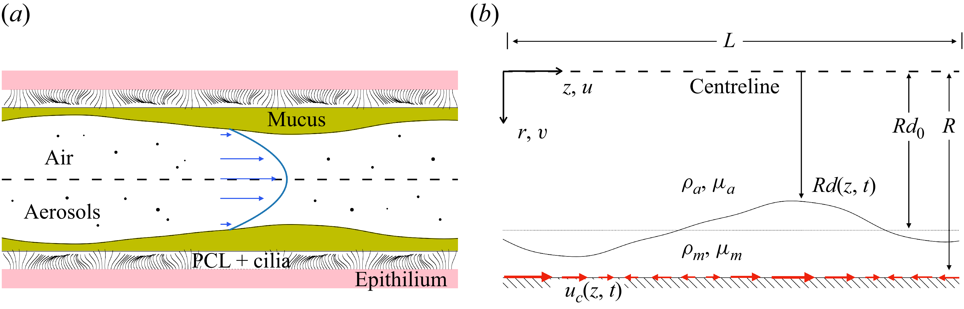 Figure 0