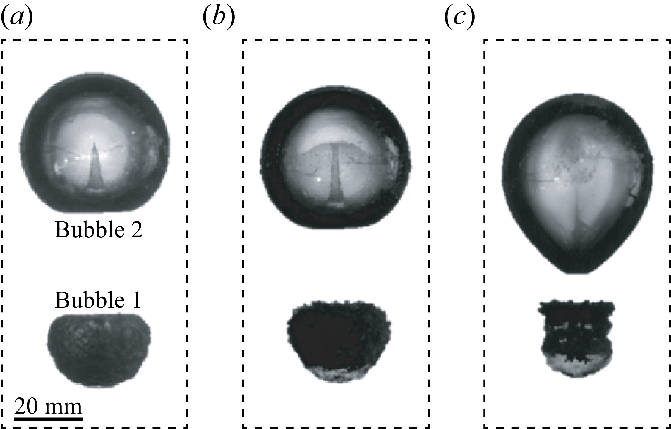 Figure 0
