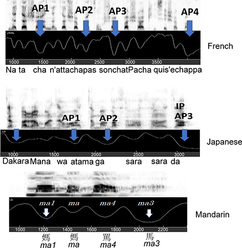 Three graphical representations depict the jaw displacement patterns for words in different languages. See long description.