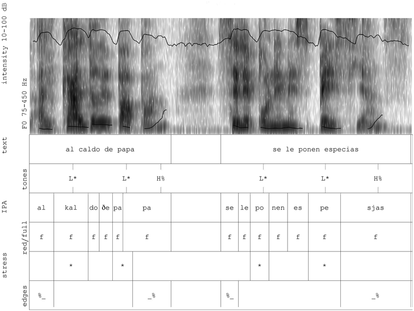A tabular chart of the phonetic transcription of an utterance that reads, al caldo de papa and se le ponen especias. It includes several levels. See long description.