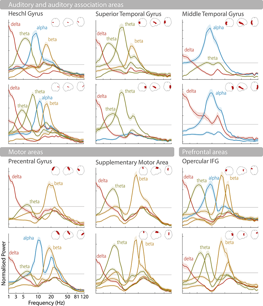 Two sets of graphical representations of normalized power across different frequency bands like delta, theta, alpha and beta in various brain regions. See long description.
