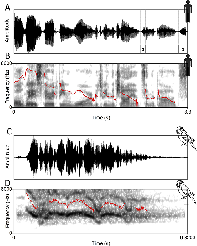 Four graphical representations are labeled A, B, C, and D of a sound of a bird call and human being. See long description.