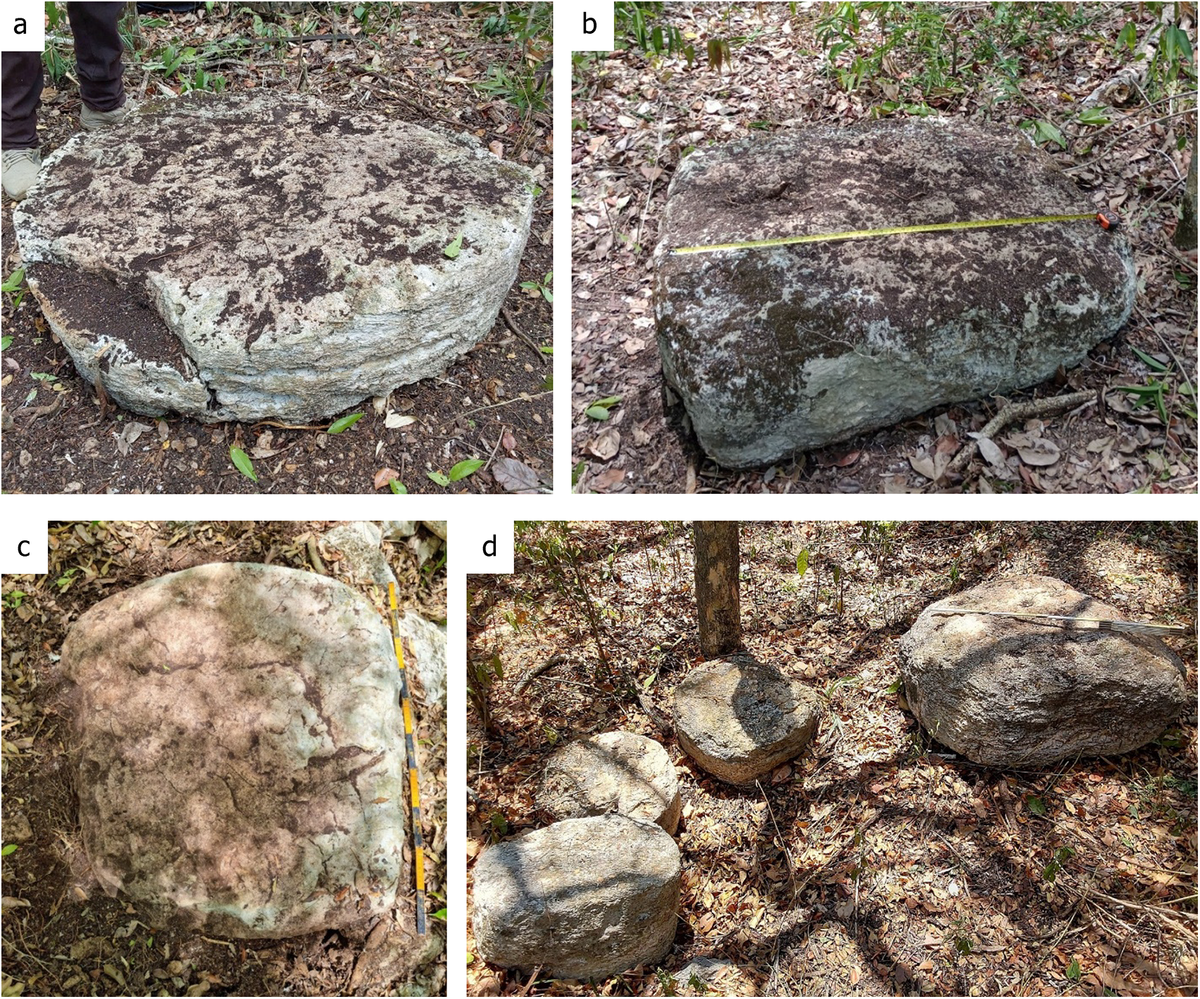 Altares de pedra encontrados nos complexos aninhados 19 (a), 23 (b), 25 (c) e 26 (d), durante escavações de sondagem no estado de Campeche, México. (Šprajc, 2026 / Ancient Mesoamerica)