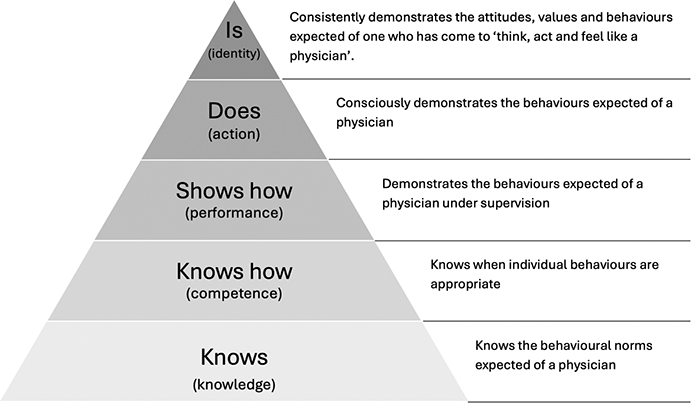 A pyramid diagram illustrating the progression of physician competencies from knowledge to identity. See long description.