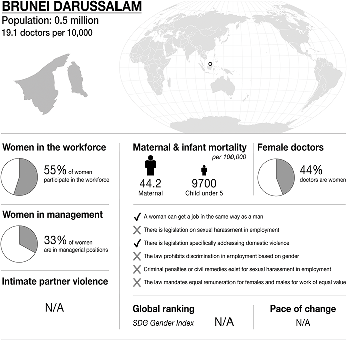 An infographic on gender statistics in Brunei Darussalam, covering workforce participation, management roles, intimate partner violence, maternal and infant mortality, gender in medicine, and gender equality legislation. See long description.