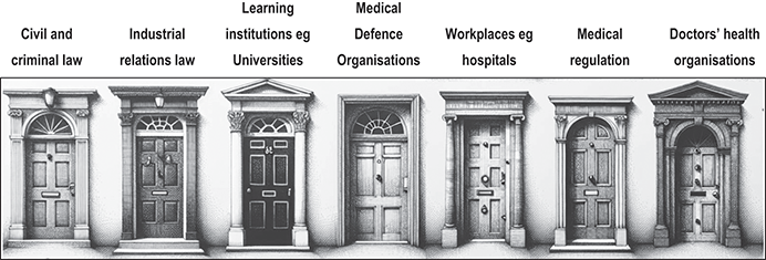 An illustration of seven doors labelled with different sectors related to law, education, and healthcare. See long description.