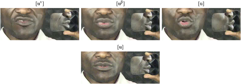 Figure 8