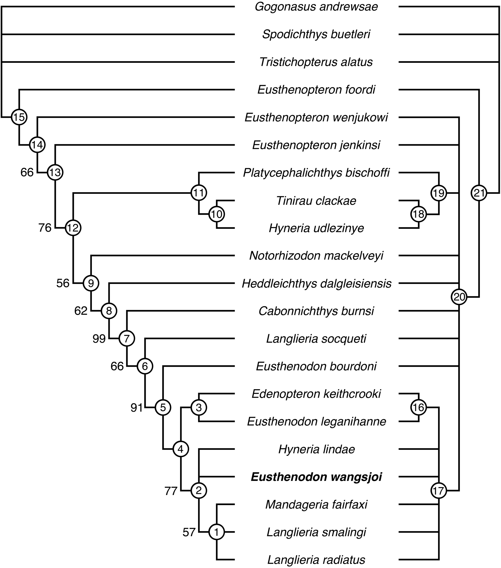 Figure 12