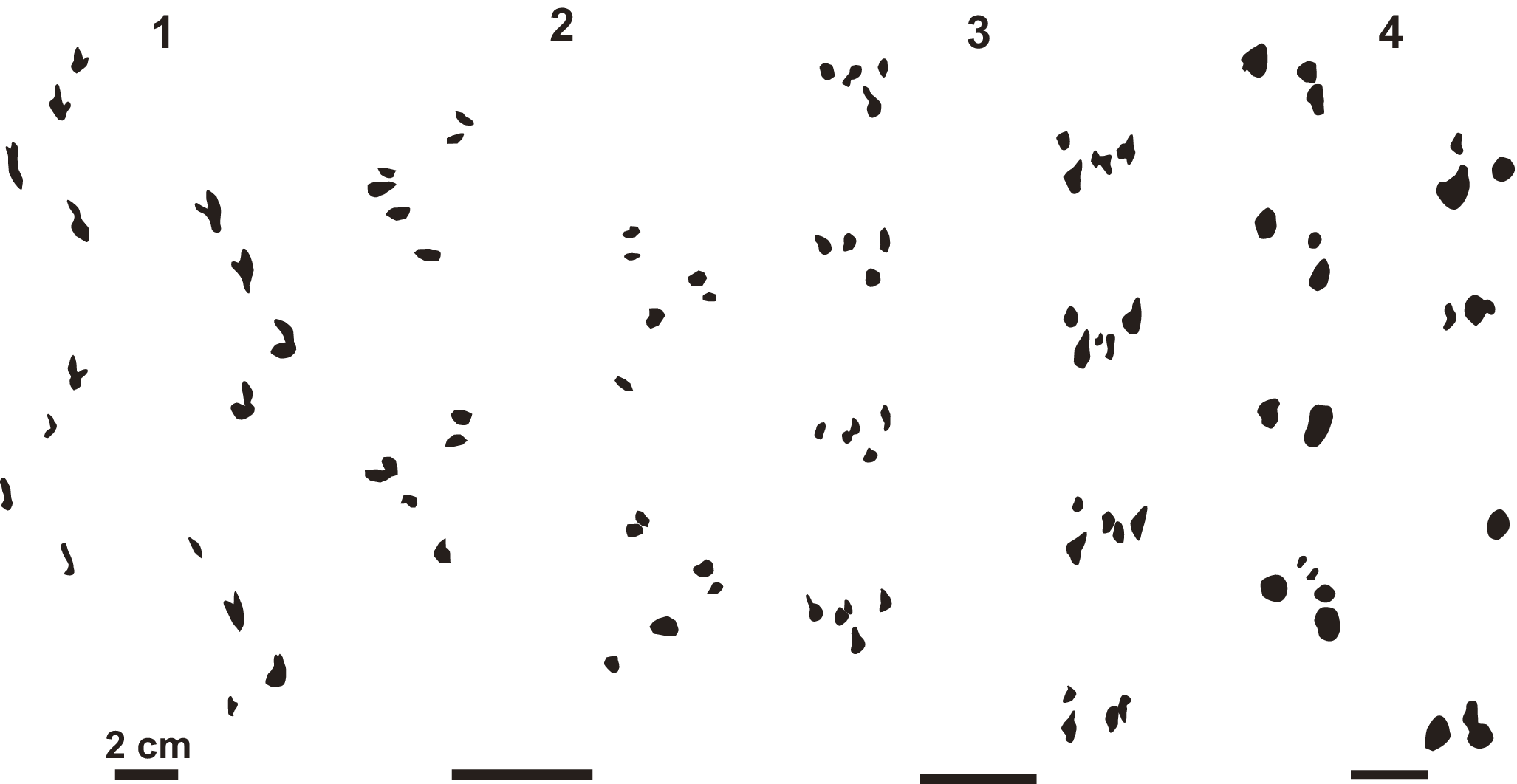 Figure 8