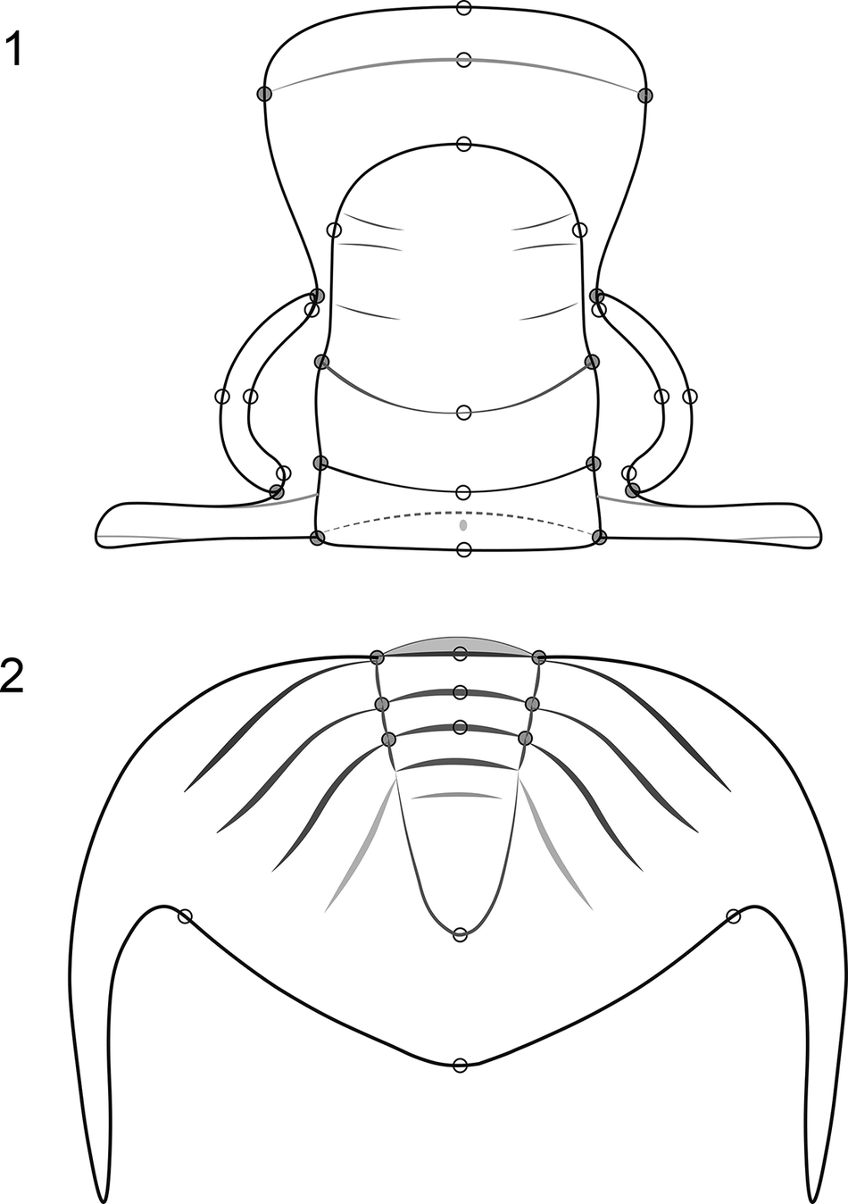 Figure 19