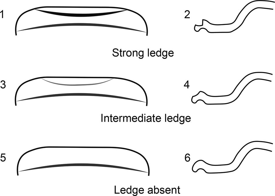 Figure 31