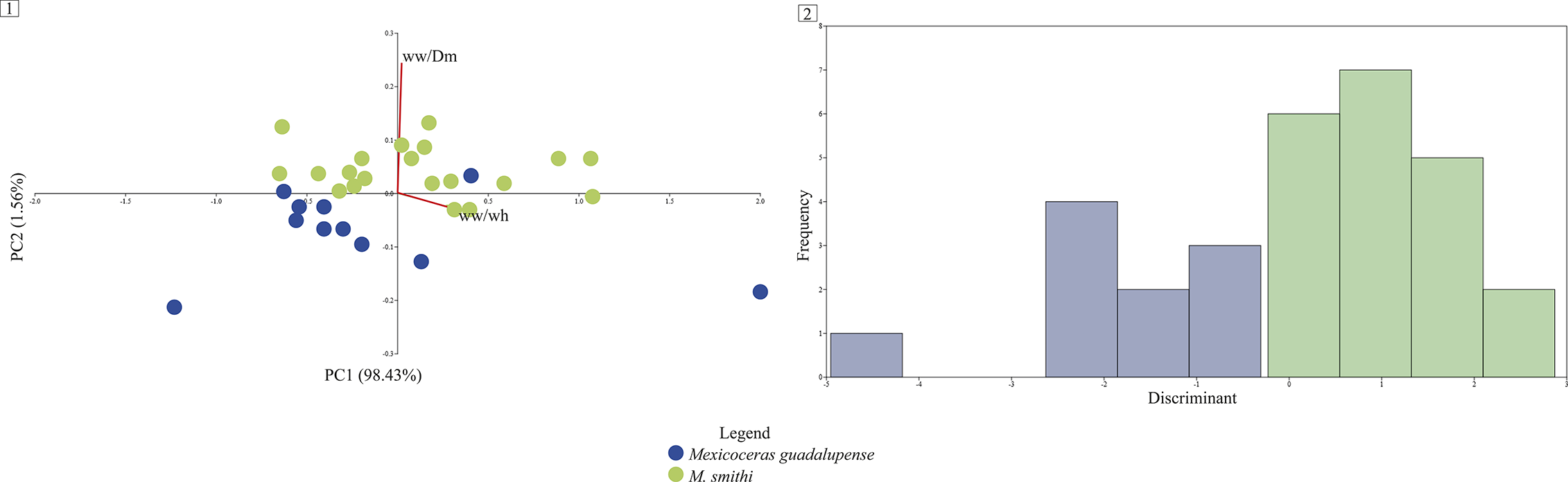 Figure 17