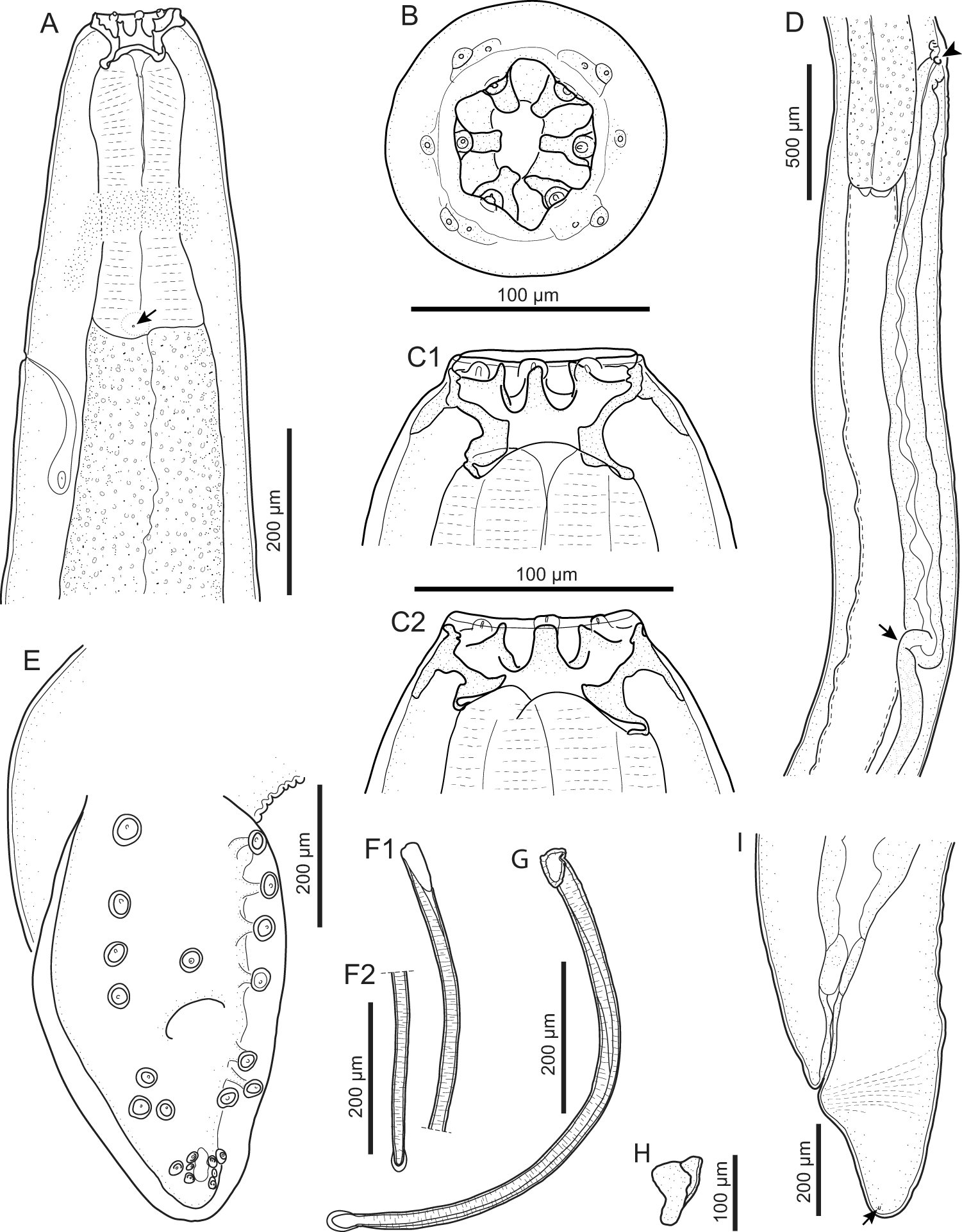 Figure 0