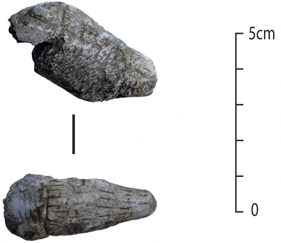 Figure 5