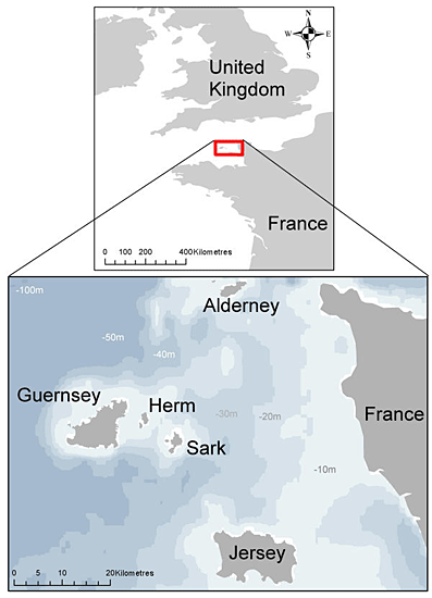 Figure 0