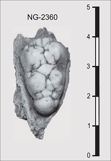 Figure 0