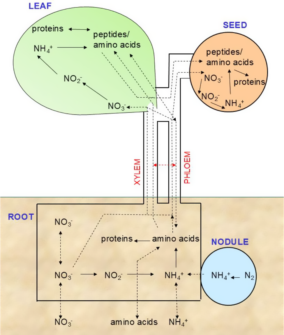 Figure 0