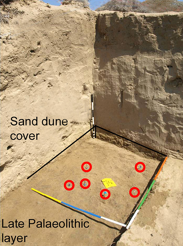 Figure 5