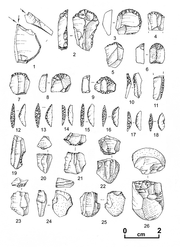 Figure 7