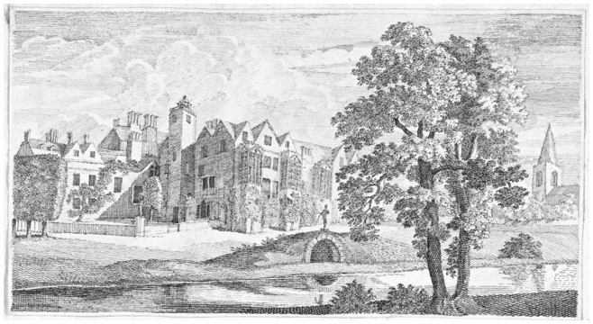 Figure 13