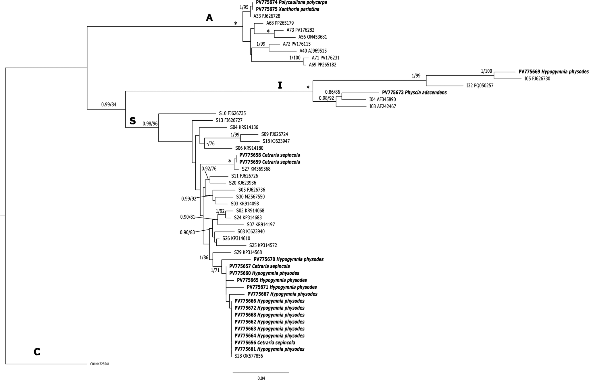 Figure 6