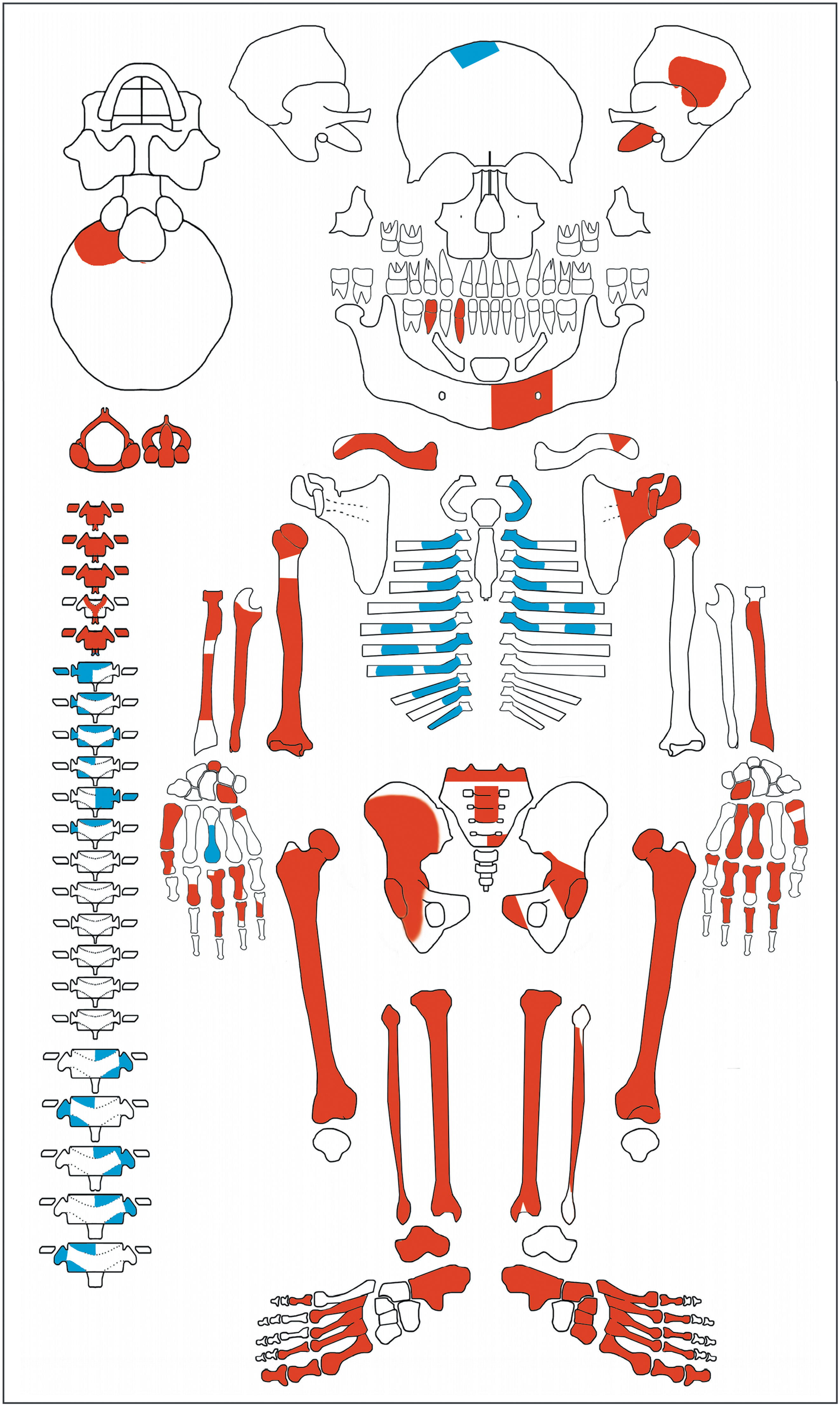 Figure 6
