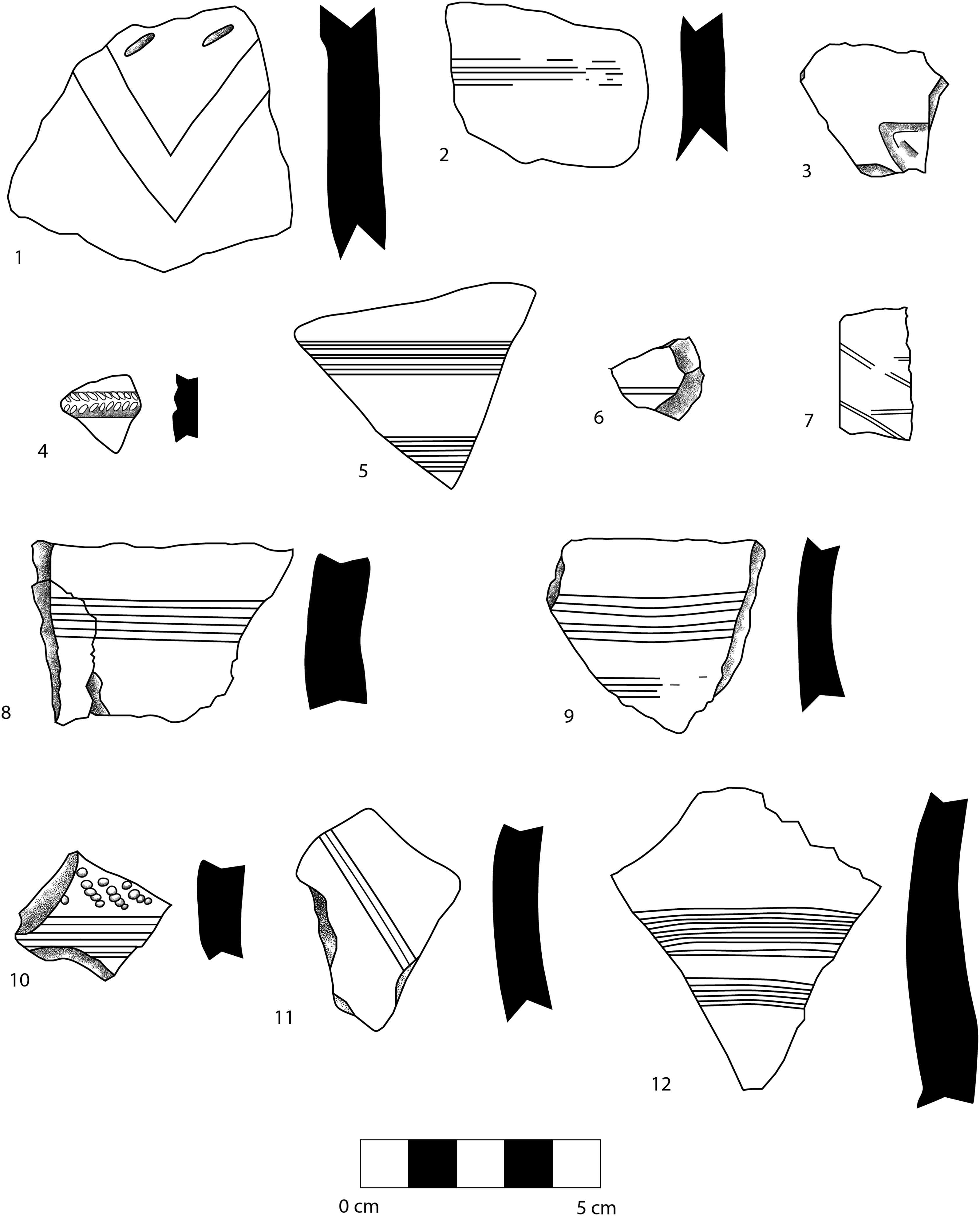 Figure 12
