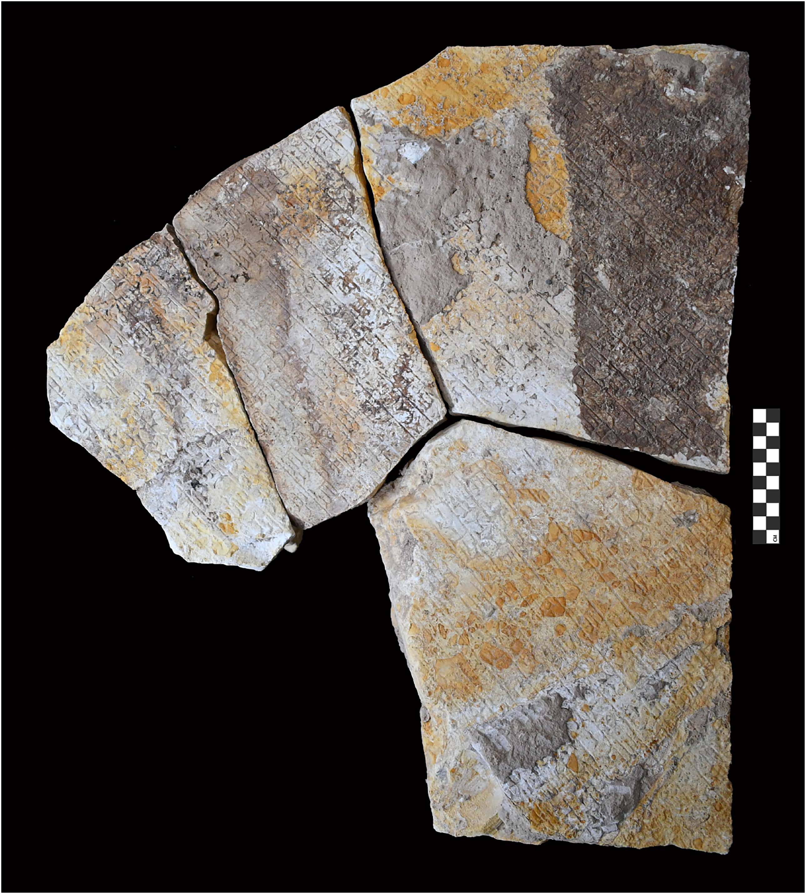 Figure 14