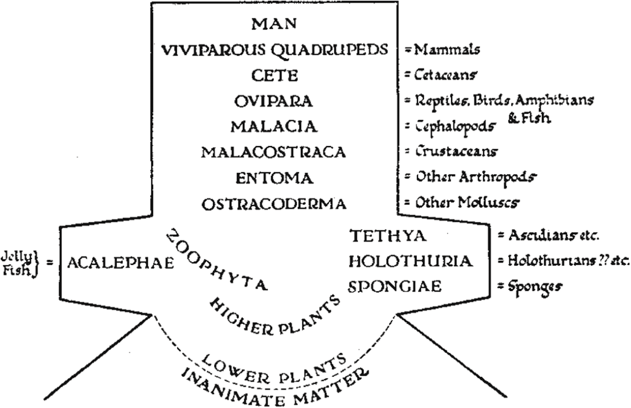 Figure 0