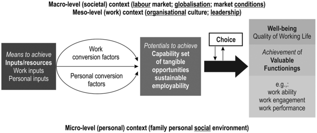A model diagram illustrates the macro, meso, and micro level contexts for work achievements and well-being. See long description.