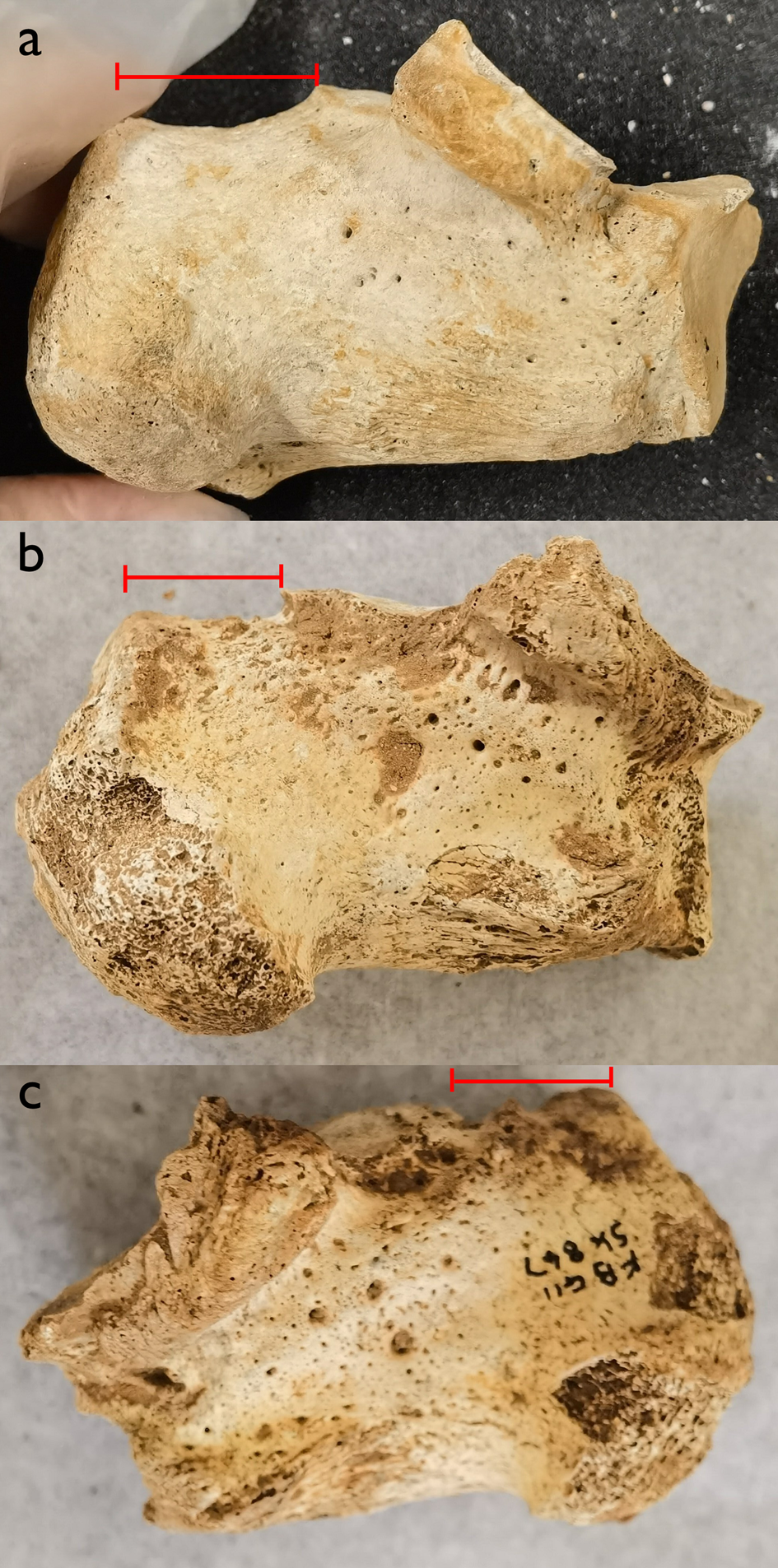 Figure 10