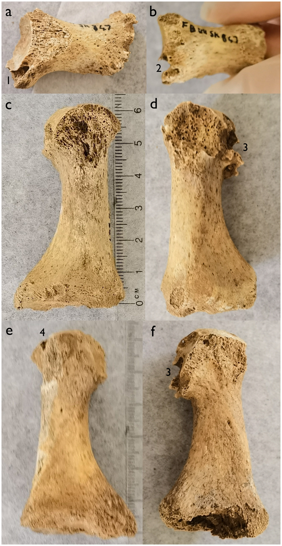 Figure 11