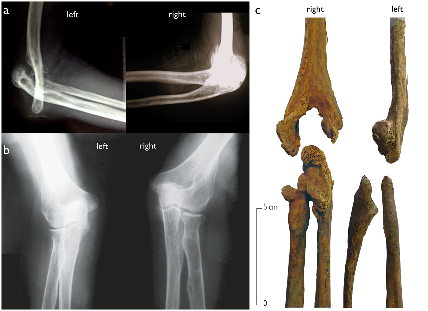 Figure 13