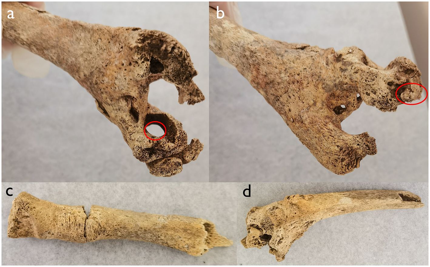 Figure 4