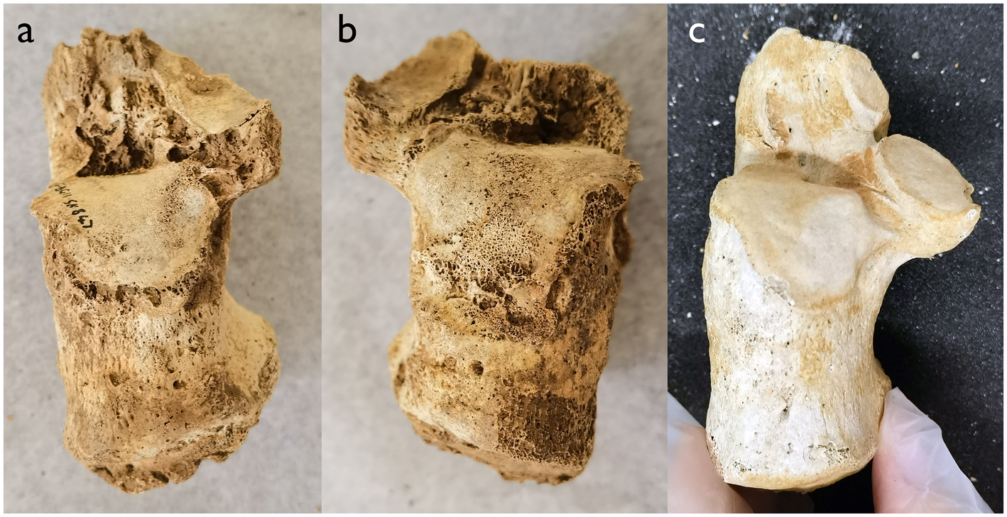 Figure 9