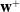 bold w Superscript plus