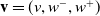 bold v equals left parenthesis v comma w Superscript minus Baseline comma w Superscript plus Baseline right parenthesis