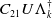 upper C 21 upper U normal upper Lamda Subscript k Superscript dagger