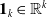 bold 1 Subscript k Baseline element of double struck upper R Superscript k