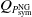 upper Q Subscript upper P Sub Subscript sym Sub Superscript NG