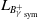 upper L Subscript upper B Sub Subscript gamma Sub Superscript plus Subscript Sub Subscript sym