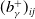 left parenthesis b Subscript gamma Superscript plus Baseline right parenthesis Subscript i j